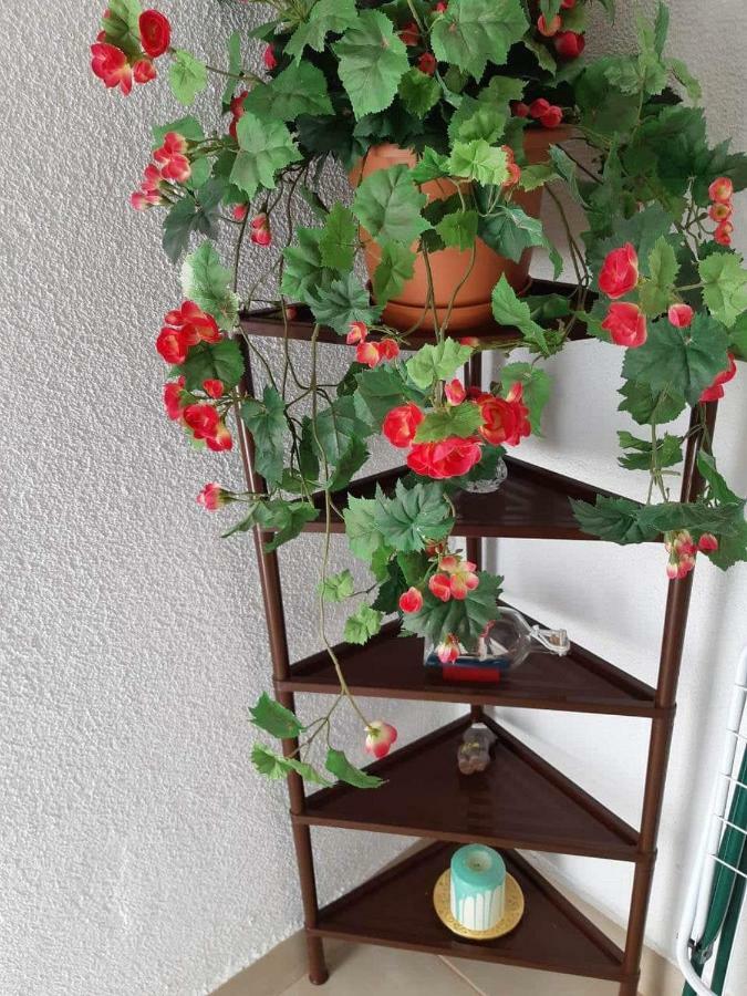 Apartment Duba Senj  Zewnętrze zdjęcie
